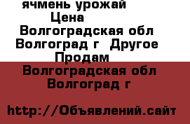 ячмень урожай 2017 › Цена ­ 6 000 - Волгоградская обл., Волгоград г. Другое » Продам   . Волгоградская обл.,Волгоград г.